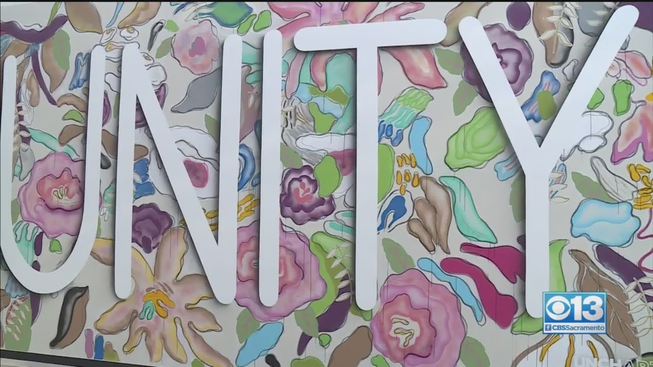 Unity Mural On Display At Arden Fair Mall