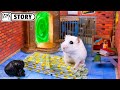🐹 Hamster Escapes the Prison Maze and Robs the Bank 🐹 Homura Ham