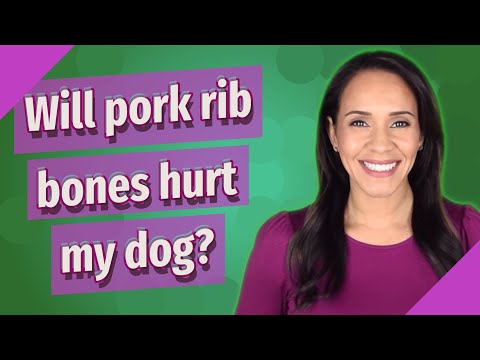 do pork rib bones splinter