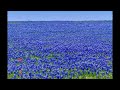 美しい世界 (参考音源)