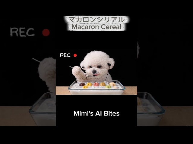 Crunchy Macaron Cereal ASMR 🐶✨ マカロンシリアルがクセになる🥣