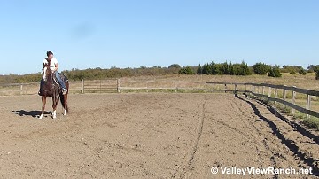 Rockin N Playin - bridleless working the flag! - ValleyViewRanch.net