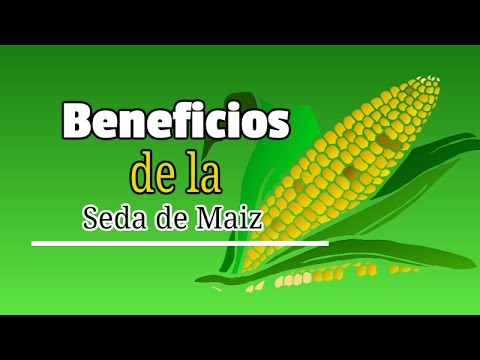 Vídeo: Seda De Maíz: Aplicación, Contraindicaciones, Revisiones