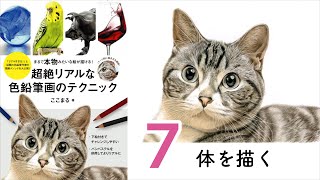 ネコ【体を描く】～超絶リアルな色鉛筆画のテクニック～ ここまる / 色鉛筆画