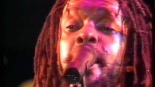 10 - Peter Tosh - Bush Doctor (Live) chords