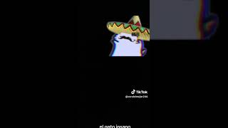 Gatos Bailando Con A De Mario 3 Mexicana Xd Resimi