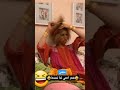 كوميديا الشعر المنكوش تمشيط مشاكل الشعر