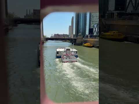 Chicago #shorts #viral #reels #ytshorts #trending #travel #shortsfeed #shots #chicago