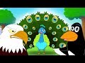 The Peacock and the Magpie - Aesop's fables