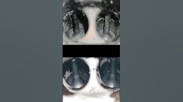 How to clean intake valves without using expensive tools #shorts