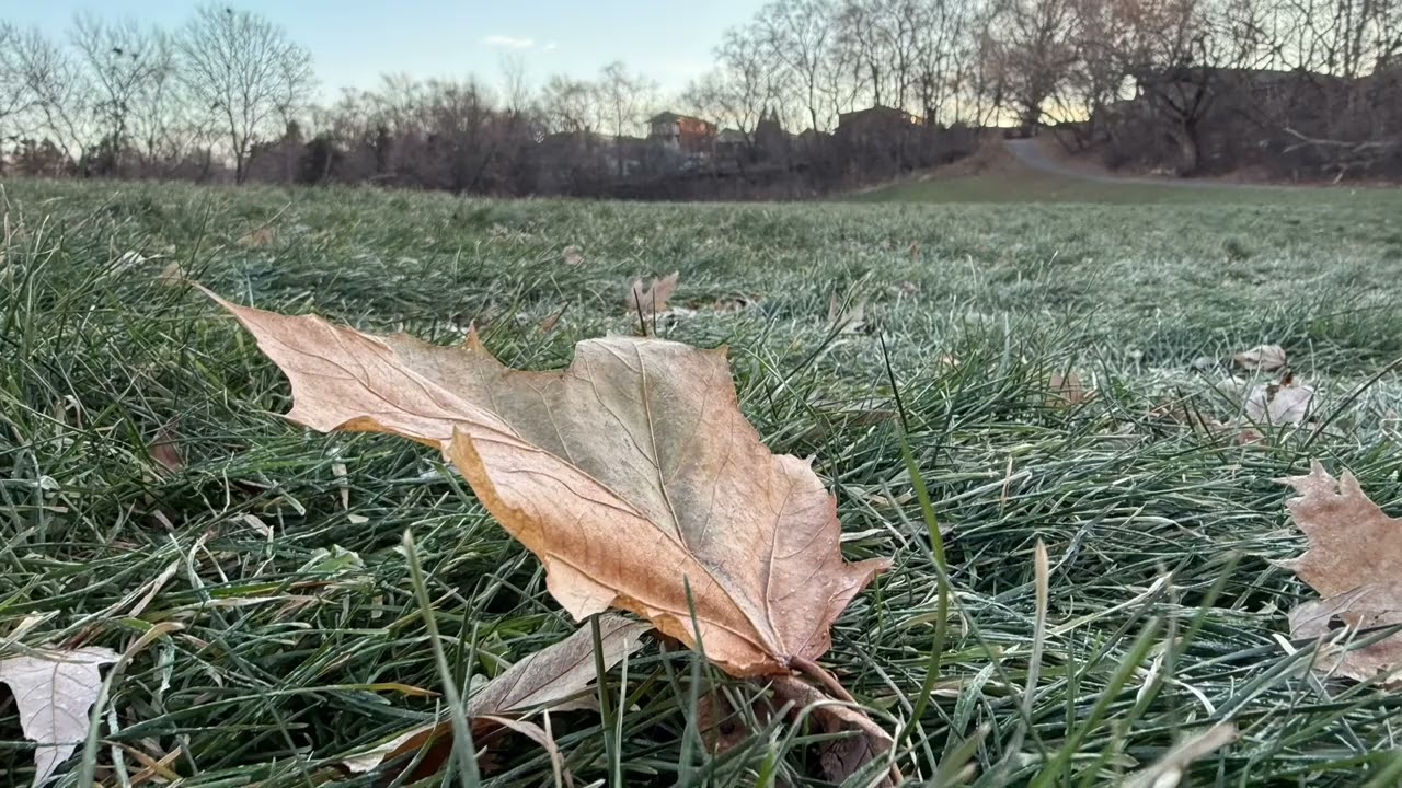 Metallica | One | Daily Walk Lookaround | 2025 12 22