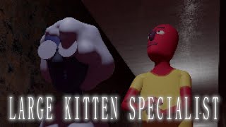 large kitten specialist