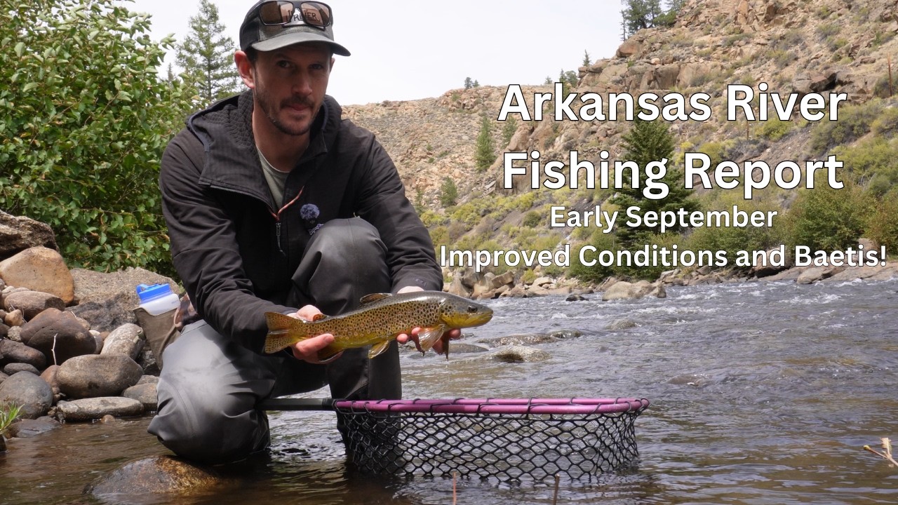 Arkansas River Fishing Report - Video - Early September 2026