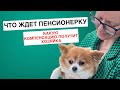 Что ждет пенсионерку, ударившей Чихуахуа. Какую Компенсацию получит хозяйка собаки.