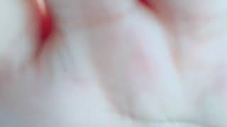 20180806-20180809 澎湖踩點計畫