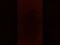 vidéo un petit peu n'importe quoi