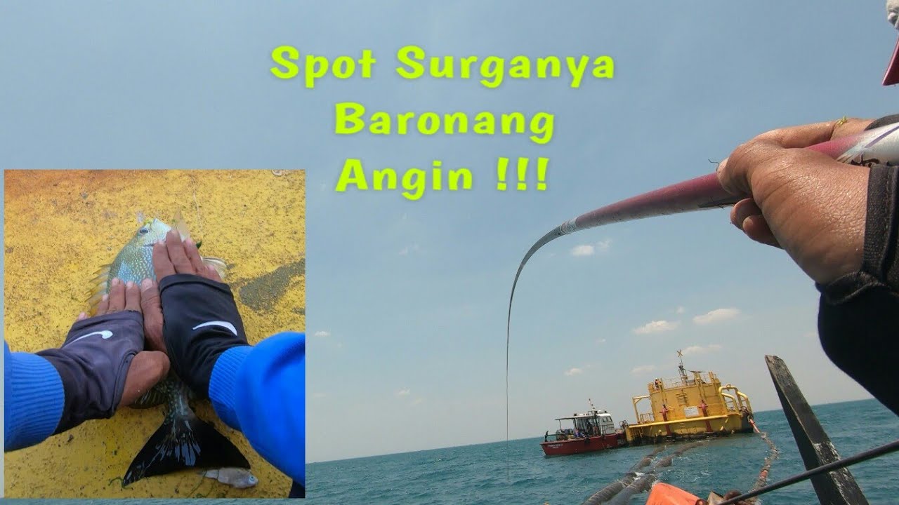 Asyiknya Rame-Rame  !!! Begini Jadinya Kalu Ikan Di Sini Mau Makan Semua Bisa Strike