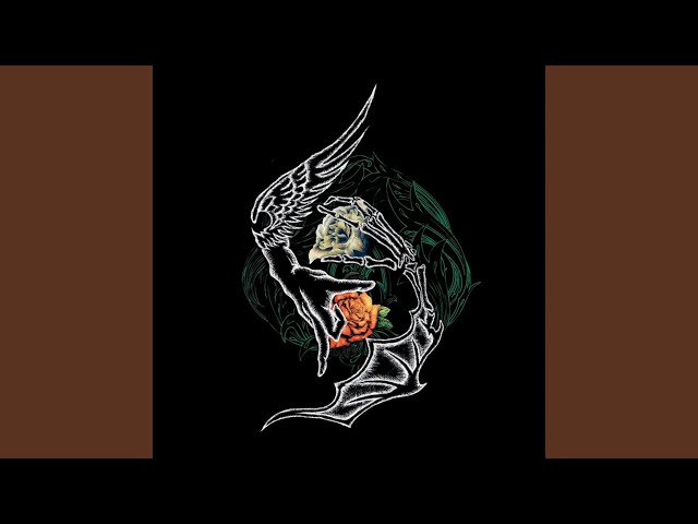 カーネーションNEW!Janne Da Arc