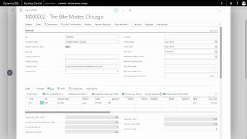 Language handling on Master Data on Documents - Master Data in Dynamics 365 Business Central