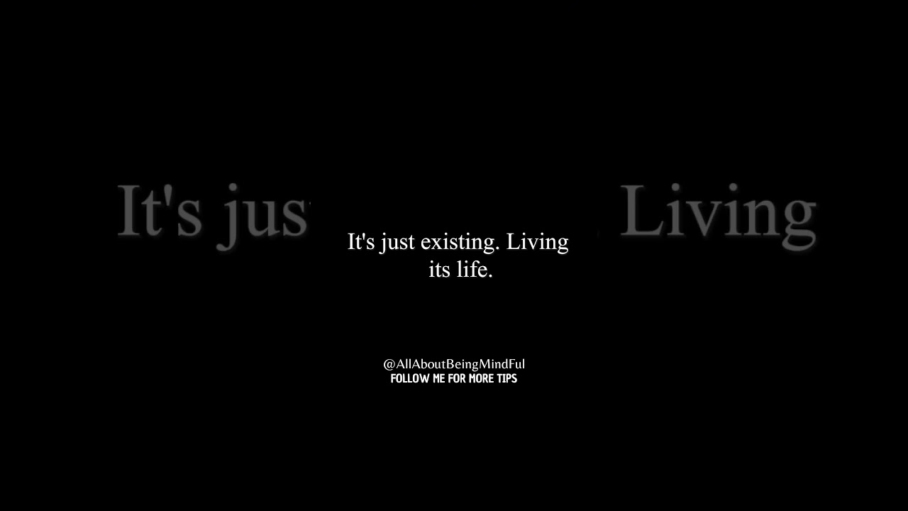 Don't touch animals. 