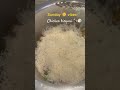 Chicken biryani #Sunday❤️ funday #1M subscribe