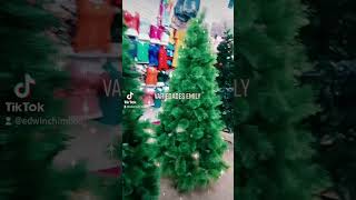 árbol tradicional de 120cm hasta 240cm