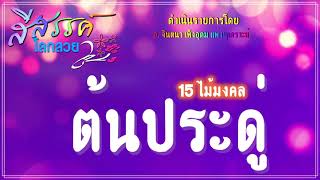 ต้นประดู่ 15ไม้มงคล | สีสรรค์โลกสวยShort