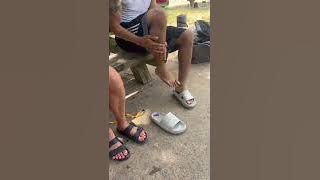 Where did they even get this snake??