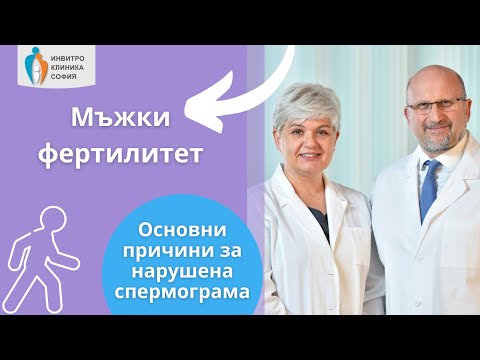 Мъжки фертилитет - основни причини за нарушена спермограма