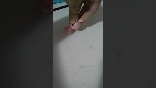 31 De Janeiro De 2022