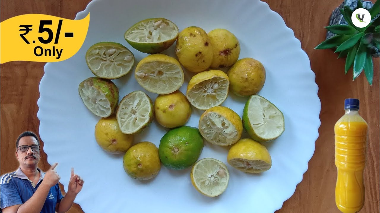 నిమ్మ తొక్కలతో నేచురల్ డిష్ వాష్ లిక్విడ్ కేవలం Rs 5/- రూపాయలే || Watch Before Throwing Lemon Peel.