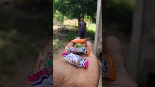 chocolate kon kon khayga cute baby chocolate 🍫🤣#shortvideo #terending #funny