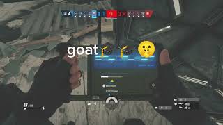 1000 IQ echo