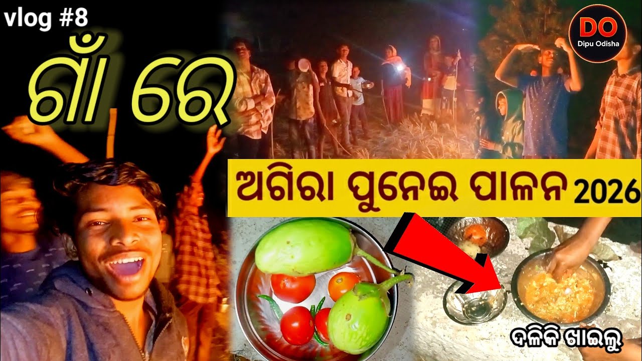 ଗାଁରେ ଅଗିରା ପୁନେଇ ପାଳନ | ବିଲାତି ବାଇଗଣ ପୋଡ଼ା ଖିଆ 🍆🔥 | Agira Punei Vlog Keonjhar dipu odisha vlog-8