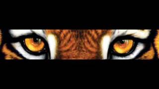 Video thumbnail of "Eye Of The Tiger Techno Remix"