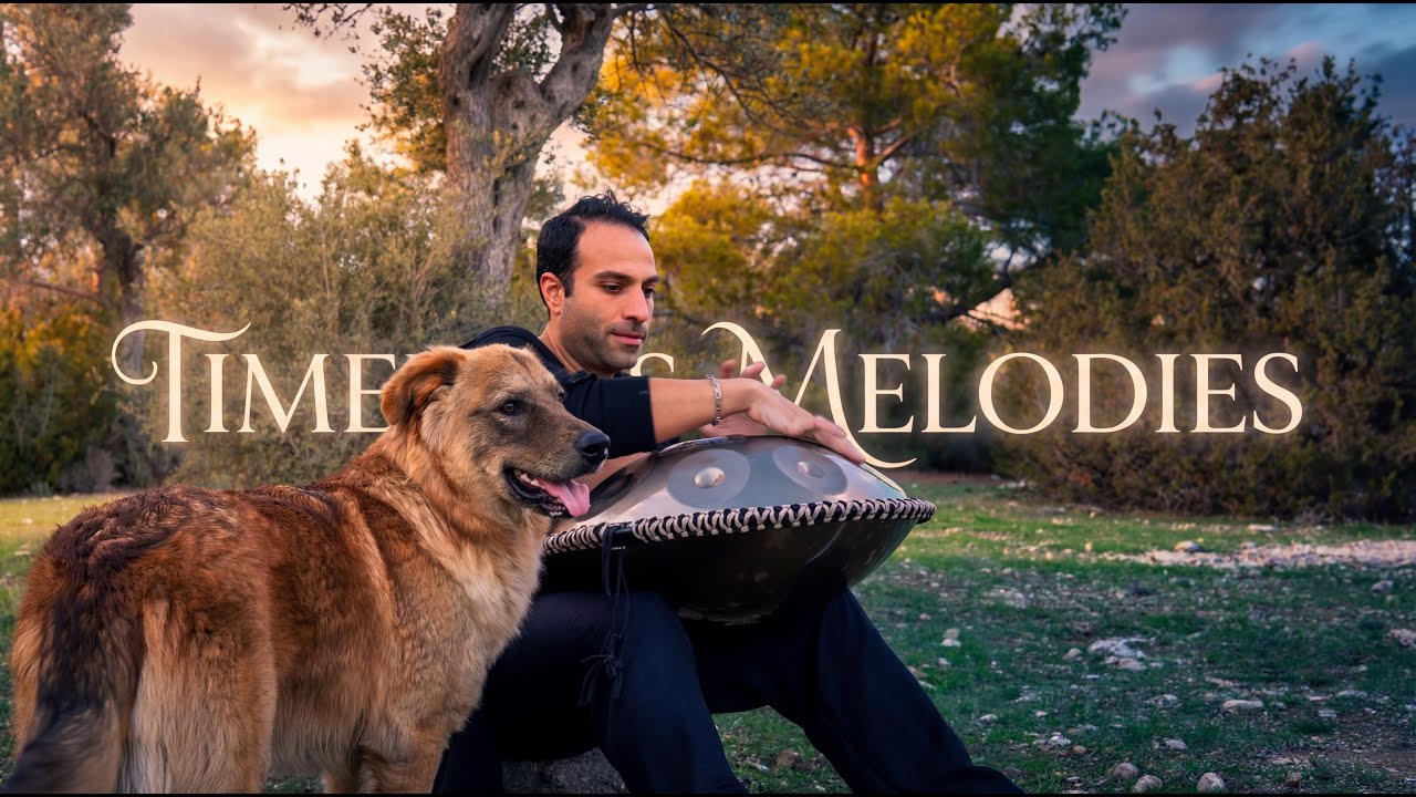 Handpan Music in the Forest 🌿 Deep Relaxation, Peaceful Nature Sounds & Healing Melodies