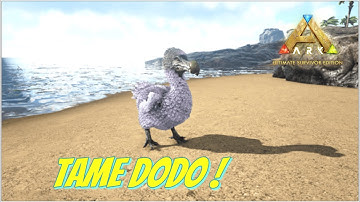 Dodo tame  |  The island  |  Ark ultimate mobile edition  |  Episode - 001