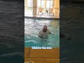 When you promised the live feed something, you go through with it