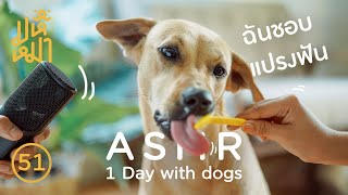 ระวังง่วง ! ASMR จากหมา- มหึหมา EP51 - ASMR 1 day with dogs.
