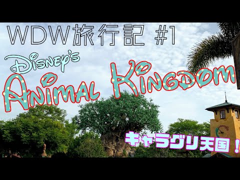 【WDW】ウォルトディズニーワールド旅行記 1日目 [アニマルキングダム編]