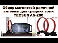 TECSUN AN-200 (AN-100) - ОБЗОР (разбор, размеры, замер индуктивности и ёмкости для повторения, тест)
