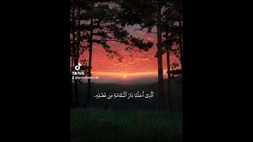 #قرآن كريم #راحه نفسيه #الحمد لله علي نصر فلسطين 🇵🇸🤲🏻