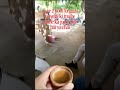 Chai Paglu #shorts #trendingshorts #viralshort #funnyshorts #funny #meme #chailove #chaipaglu #garmi