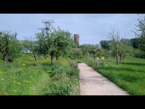 Burggraben und Weyertor Zülpich in 4K