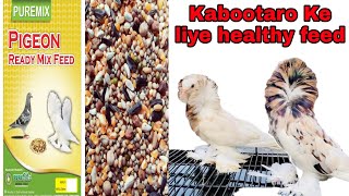 Healthy feed for pigeon/कबूतरों के लिए हेल्दी मिक्स फीड/Pigeon food/Kabootar Ka dana