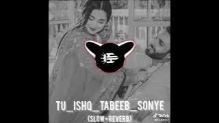 tu ishq tabeeb soniye (slowed reverb)