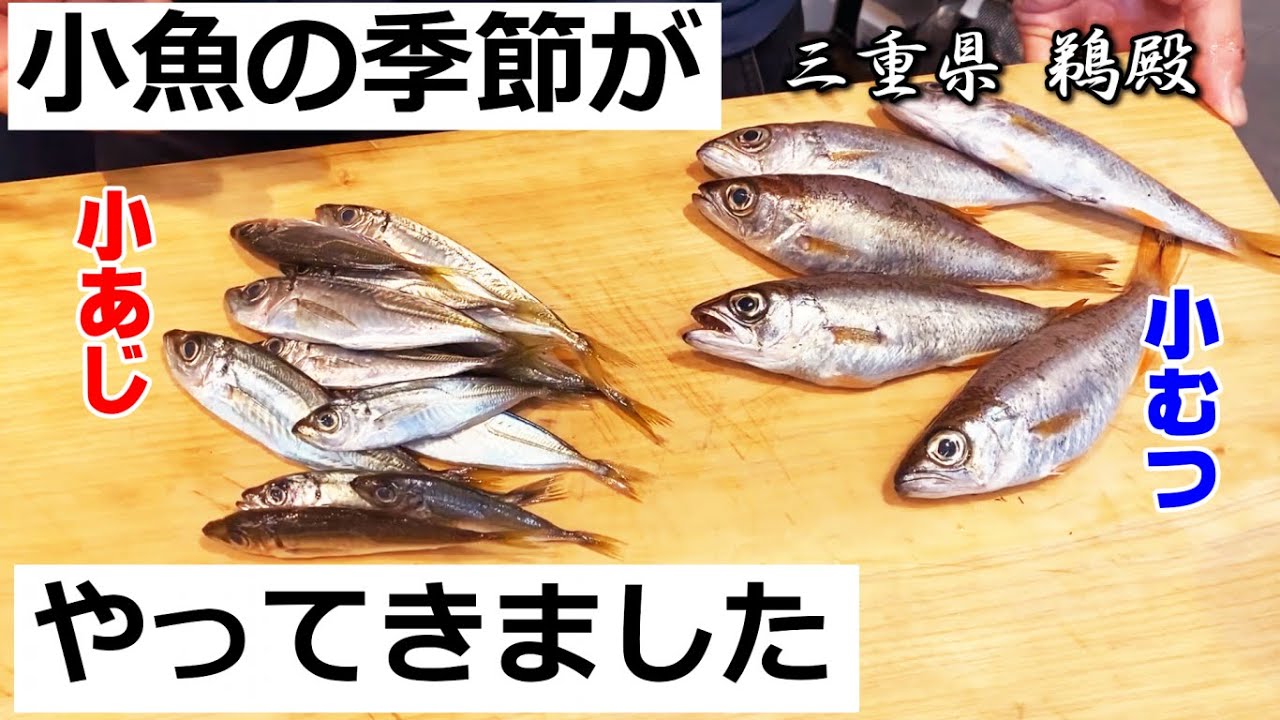 魚通には分かる 小あじと小むつの味の違い Youtube