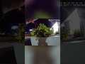 SHOTS FIRED: Police Ambushed on 441 Racetrack! #shorts