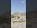 5 Negara Dengan Gurun Terluas Gurun GurunTerluas Desert Negara Fakta Viralvideo Shortsvideos 5 Negara Dengan Gurun Terluas Gurun GurunTerluas Desert Negara Fakta Viralvideo Shortsvideos