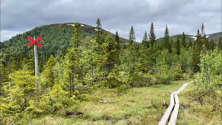Sweden Hikes: walking Björnen to Fjällgården, Åre. Beautiful mountain, sounds of nature and boots